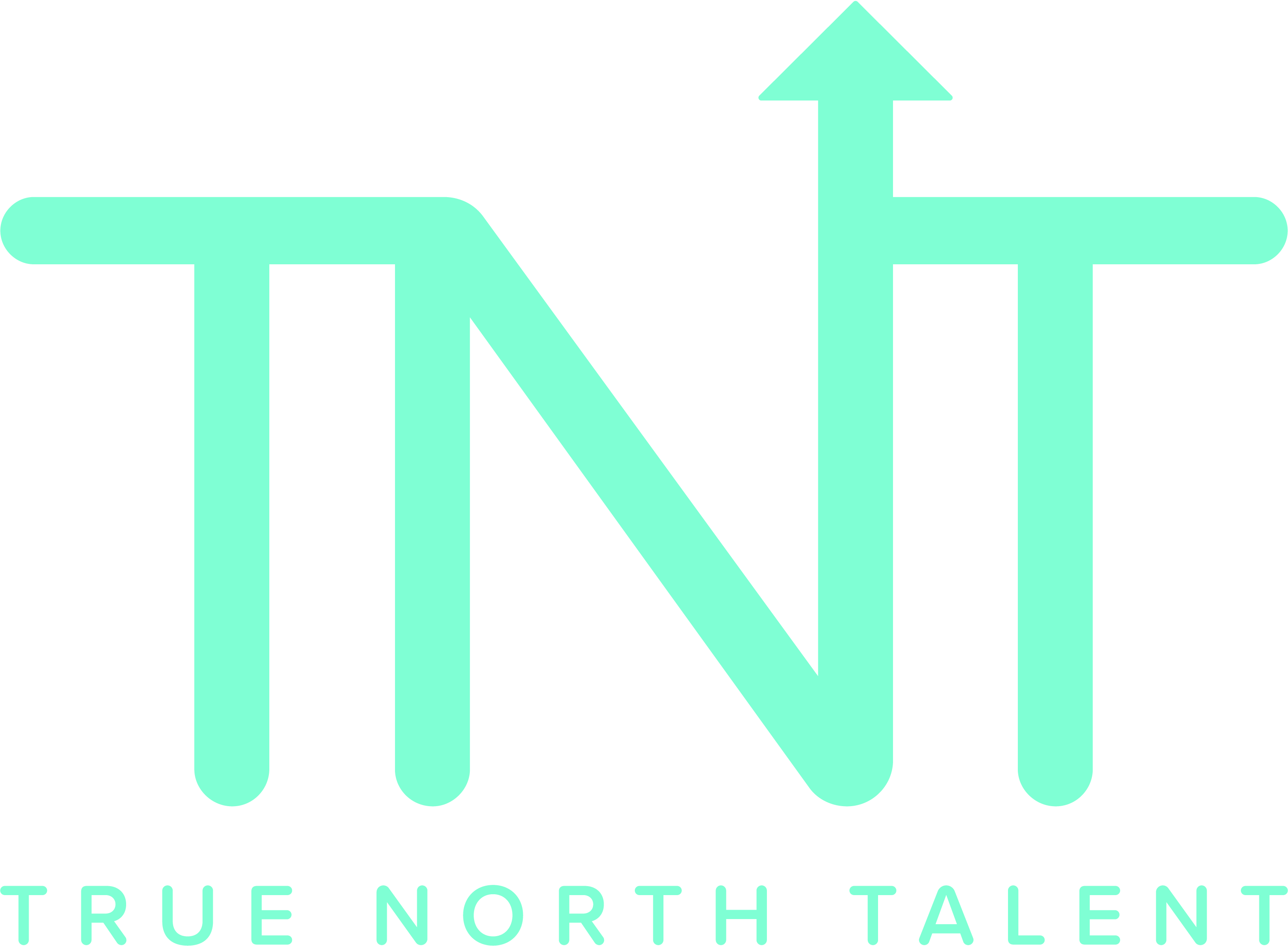 True North Talent